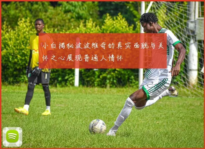 小白揭秘波波维奇的真实面貌与关怀之心展现普通人情怀
